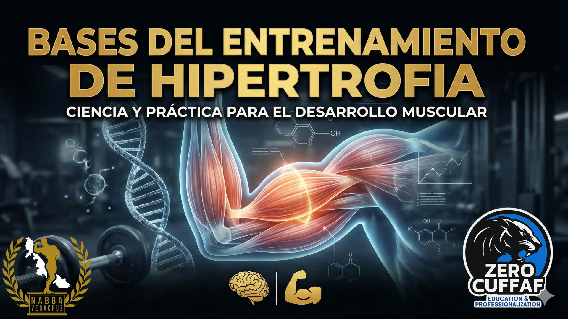 BASES PARA EL ENTRENAMIENTO DE HIPERTROFIA